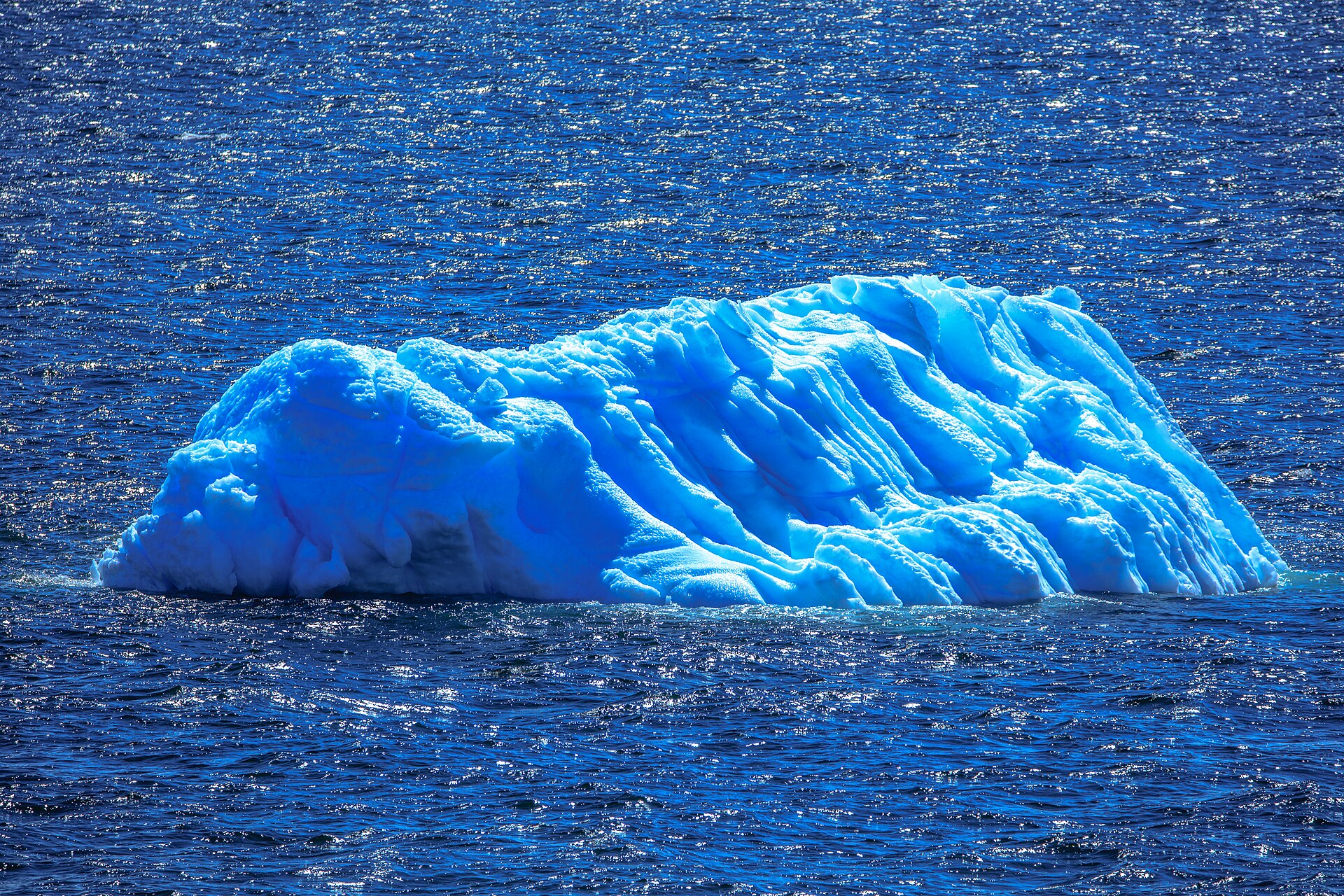 Antarctica Group Trip — 11D/10N — Antarctica