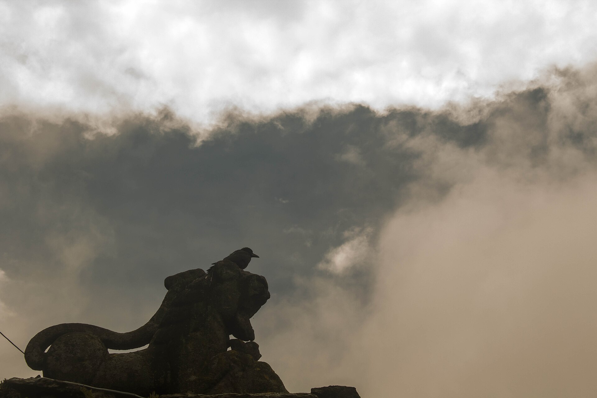 Chopta Chandrashila Trek — Chopta