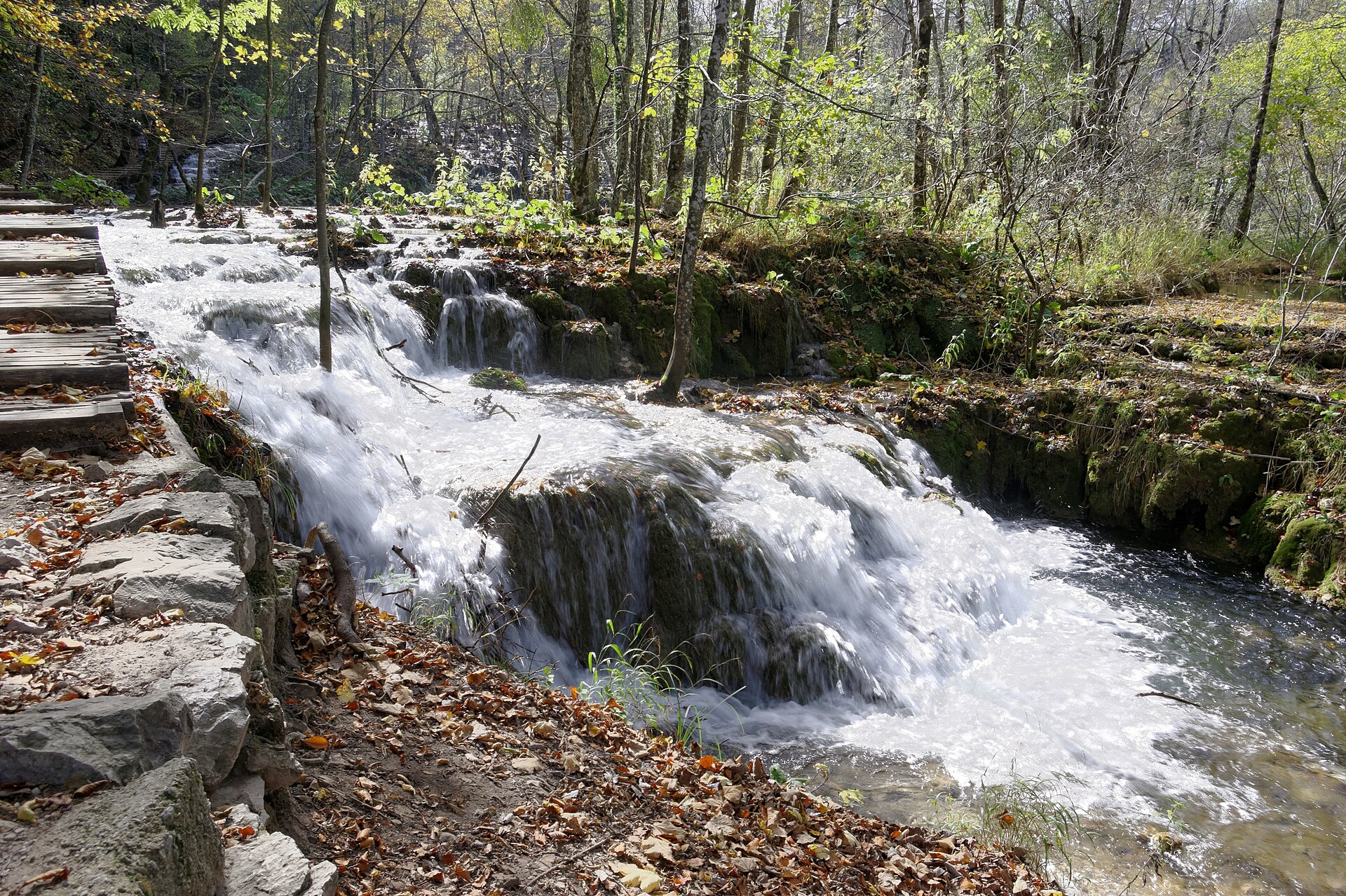 Plitvice Wildlife Safari — 6 Days — Plitvice