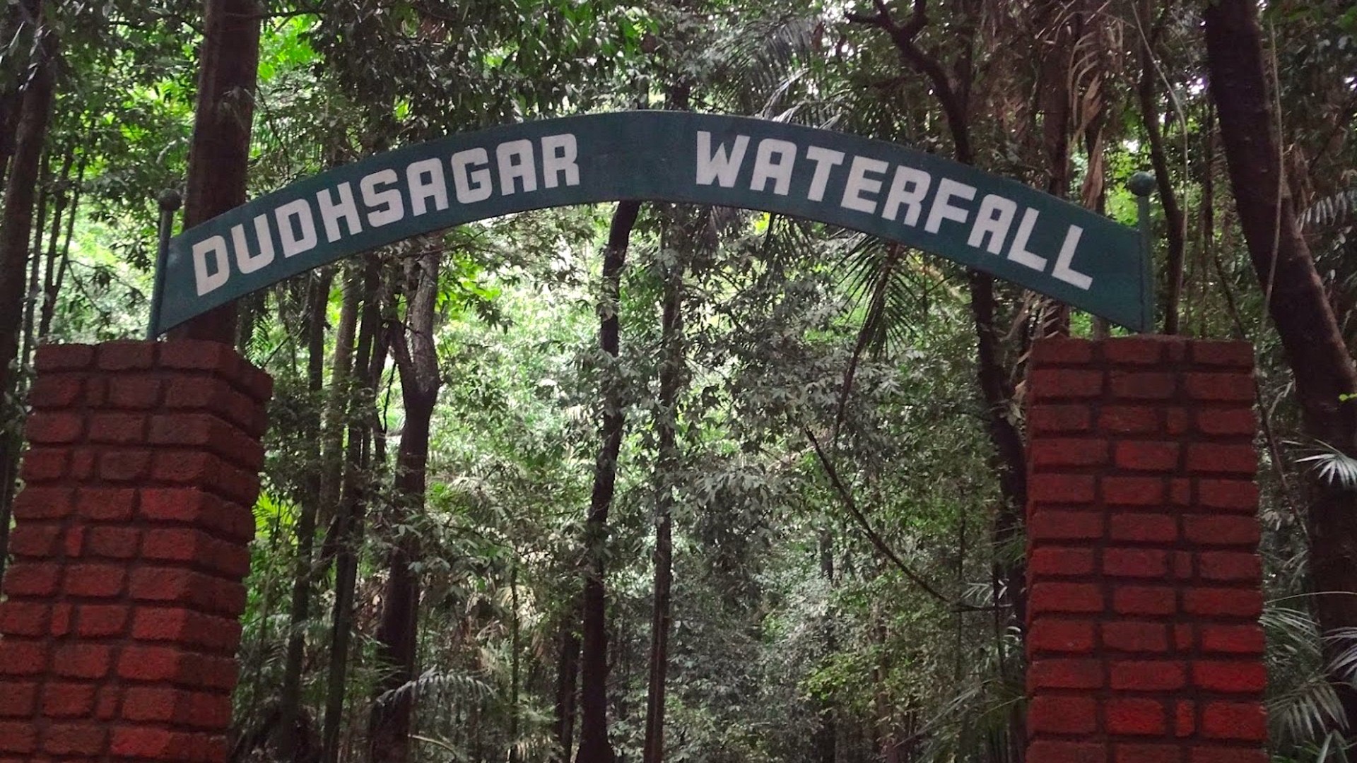 Dudhsagar Falls — representative scenery