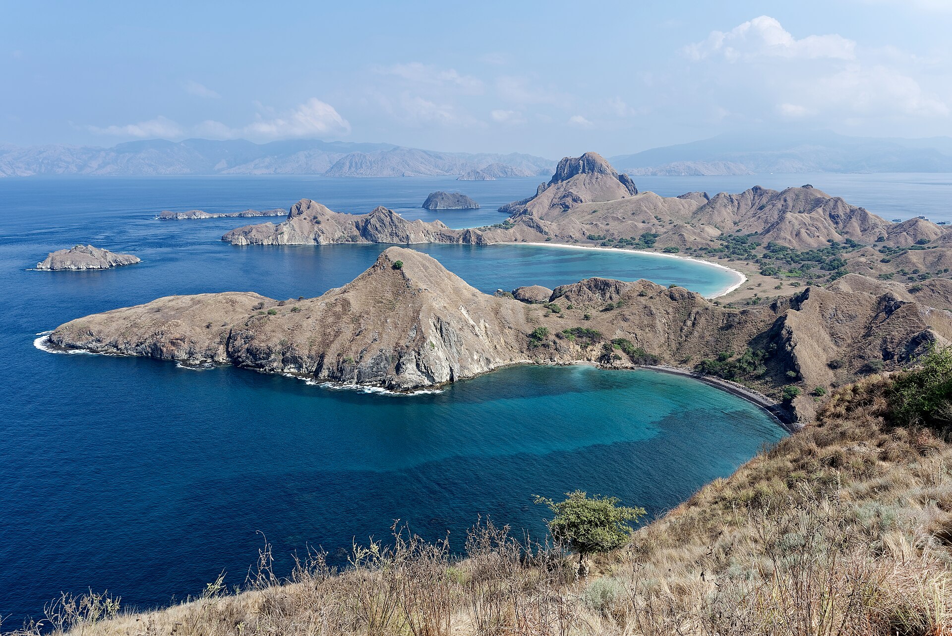 Komodo Wildlife Safari — 4 Days — Komodo