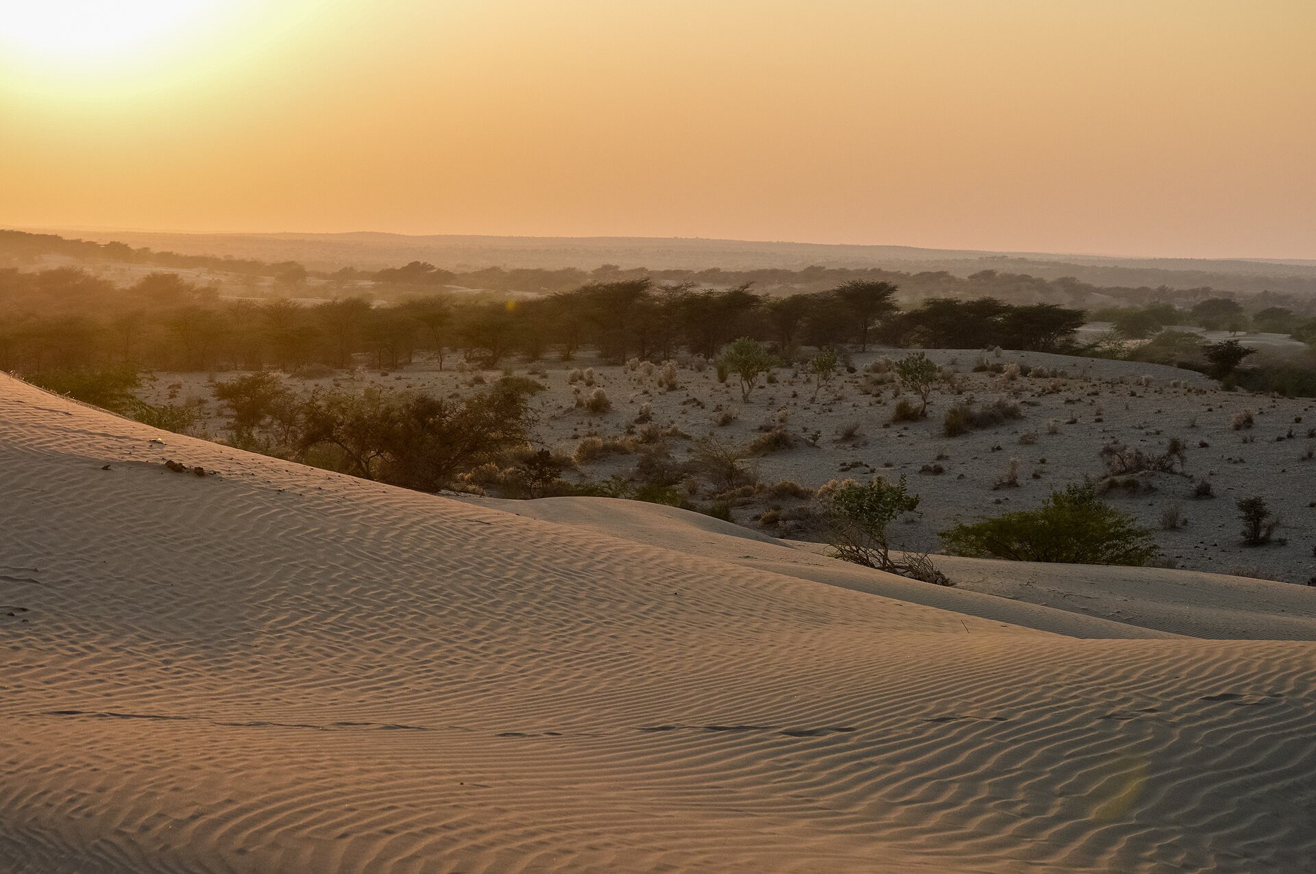 Jaisalmer Desert Camp — 7D/6N — Jaisalmer