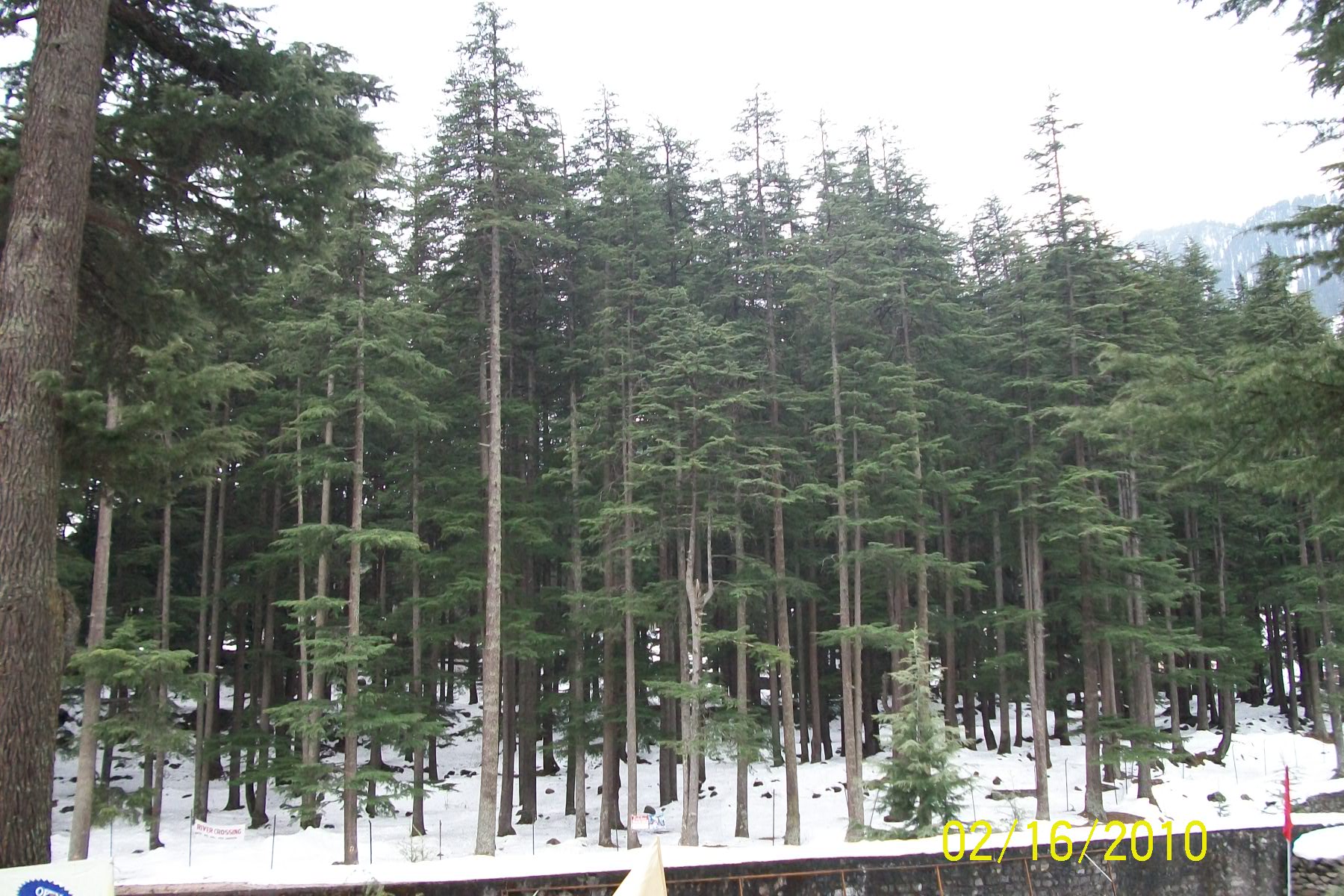 Old Manali & Manalsu River — representative scenery