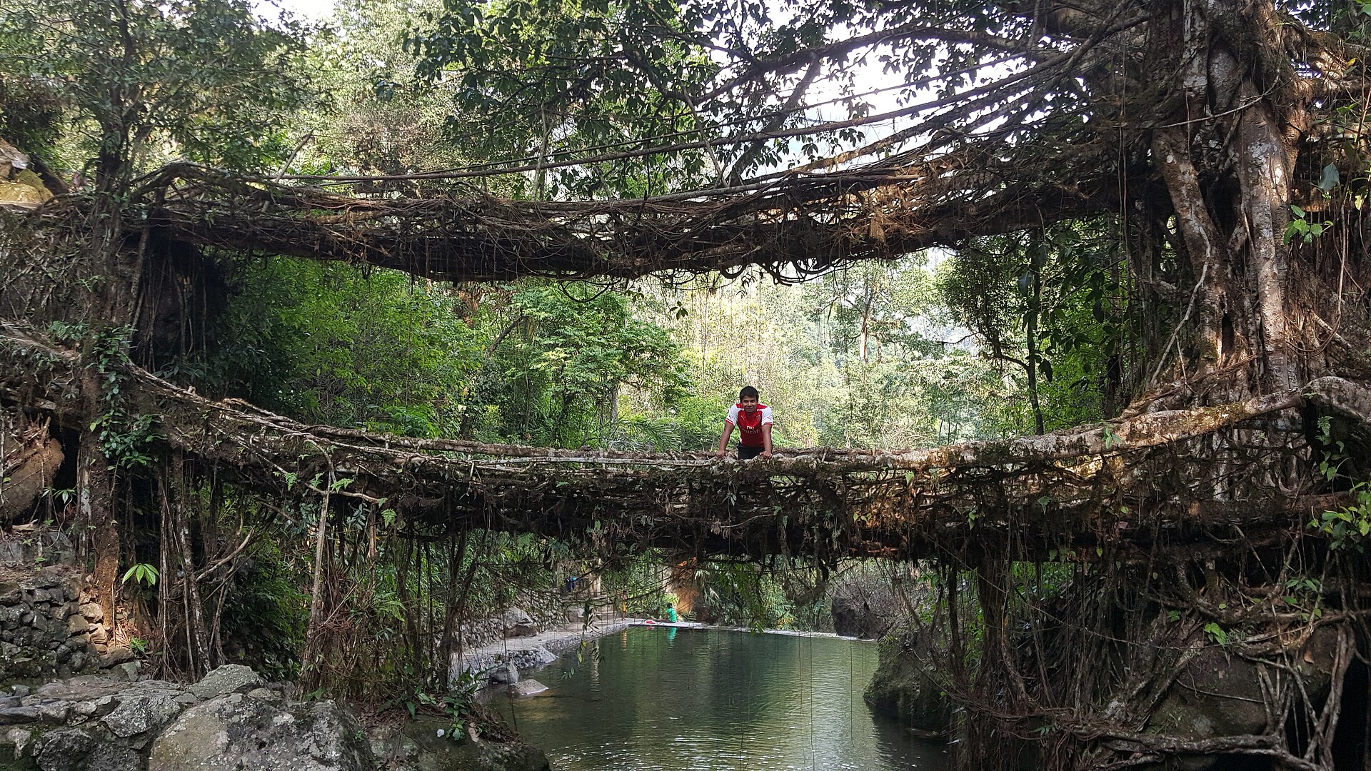 Meghalaya Group Trip — 6D/5N — Meghalaya