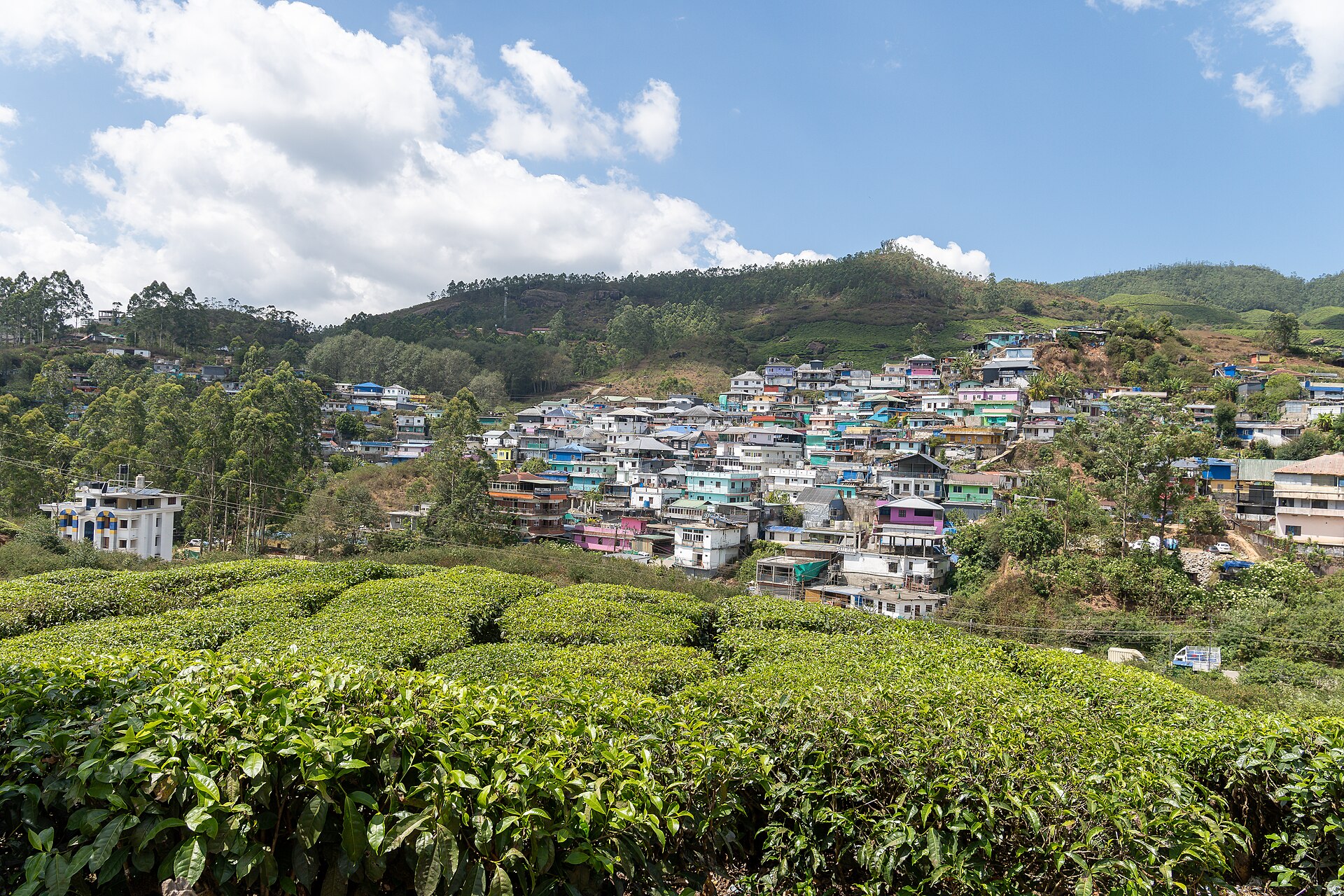 Munnar Group Trip — 5D/4N — Munnar