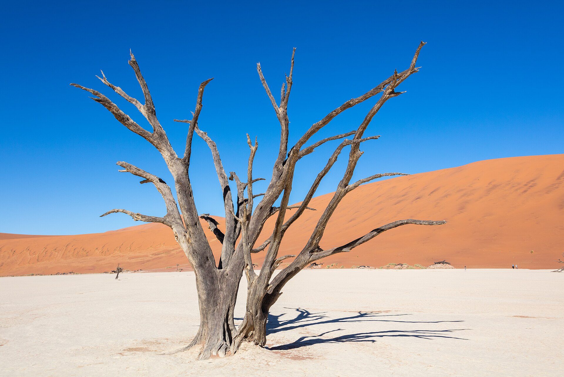 Namibia Group Trip — 12D/11N — Namibia