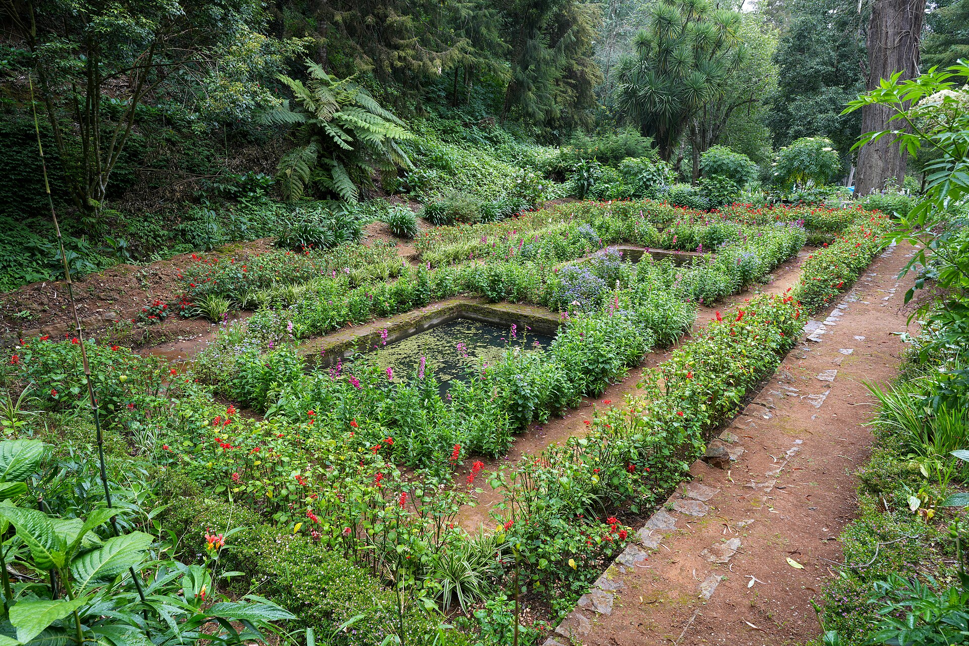 Government Botanical Gardens — representative scenery