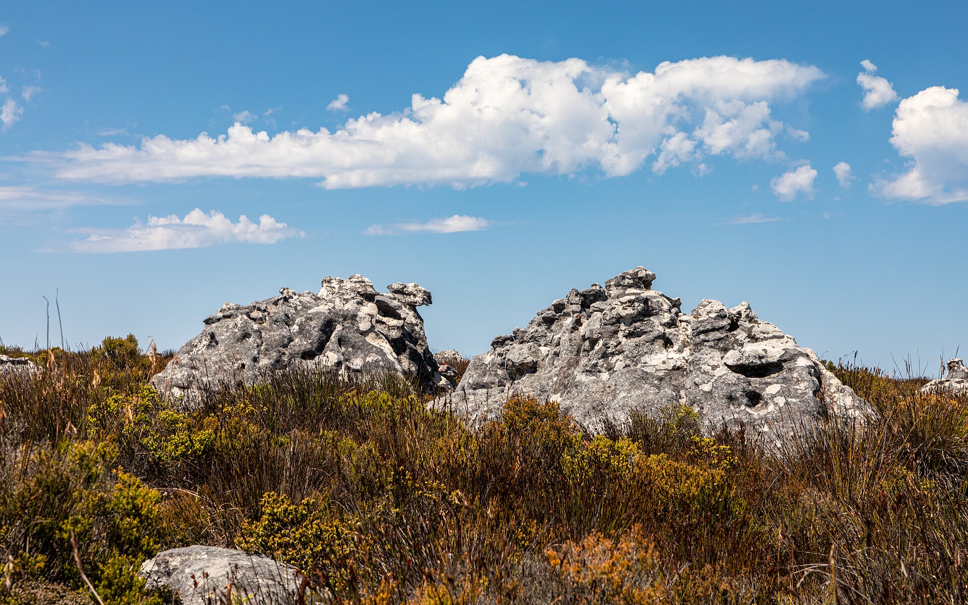 Cape Town Group Trip — 6D/5N — Cape Town
